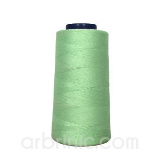 Polyester Serger and sewing Thread Cone (2743m) Light Green