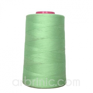 Polyester Serger and sewing Thread Cone (4573m) Light Green