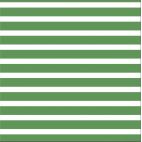 Organic cotton Knit Colourful Stripes Green Cloud9