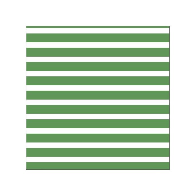 Coton Bio Interlock Colourful Stripes Green Cloud9