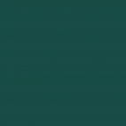 PUL USA Vert canard (par 10cm)