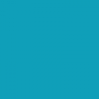 PUL USA turquoise (per 10cm)