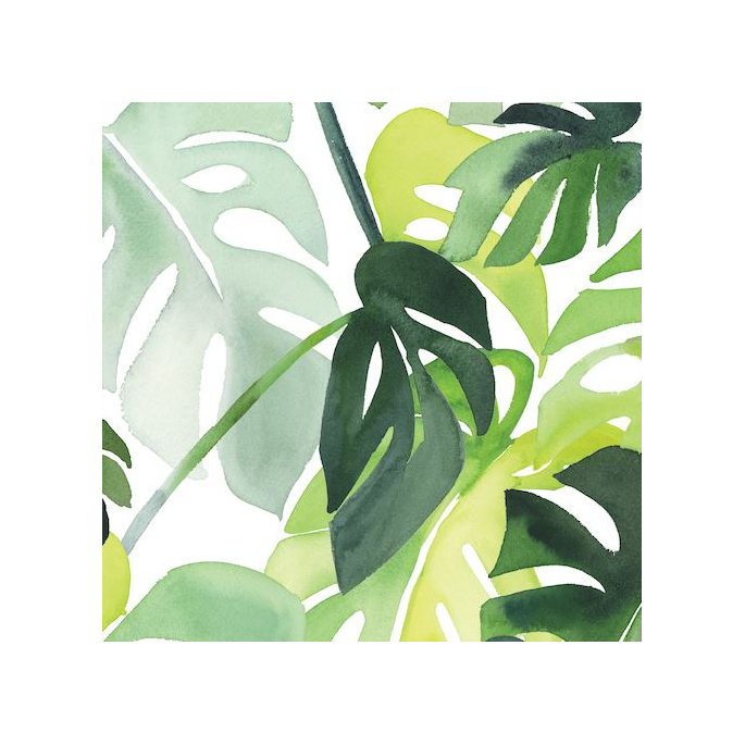 Laminated Organic Cotton Philodendron Cloud9