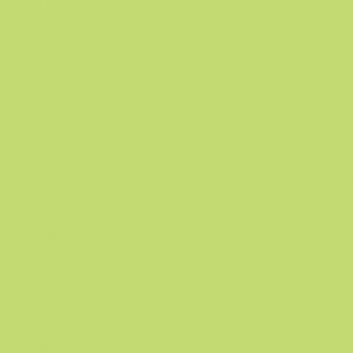 PUL standard Celery Green (19 x 150cm)