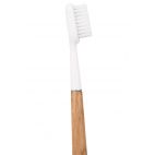 Brosse à dent en bois de chêne Caliquo à tête rechargeable