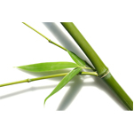 Bamboo for cloth wipes